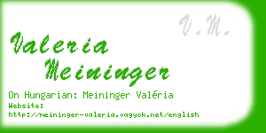valeria meininger business card